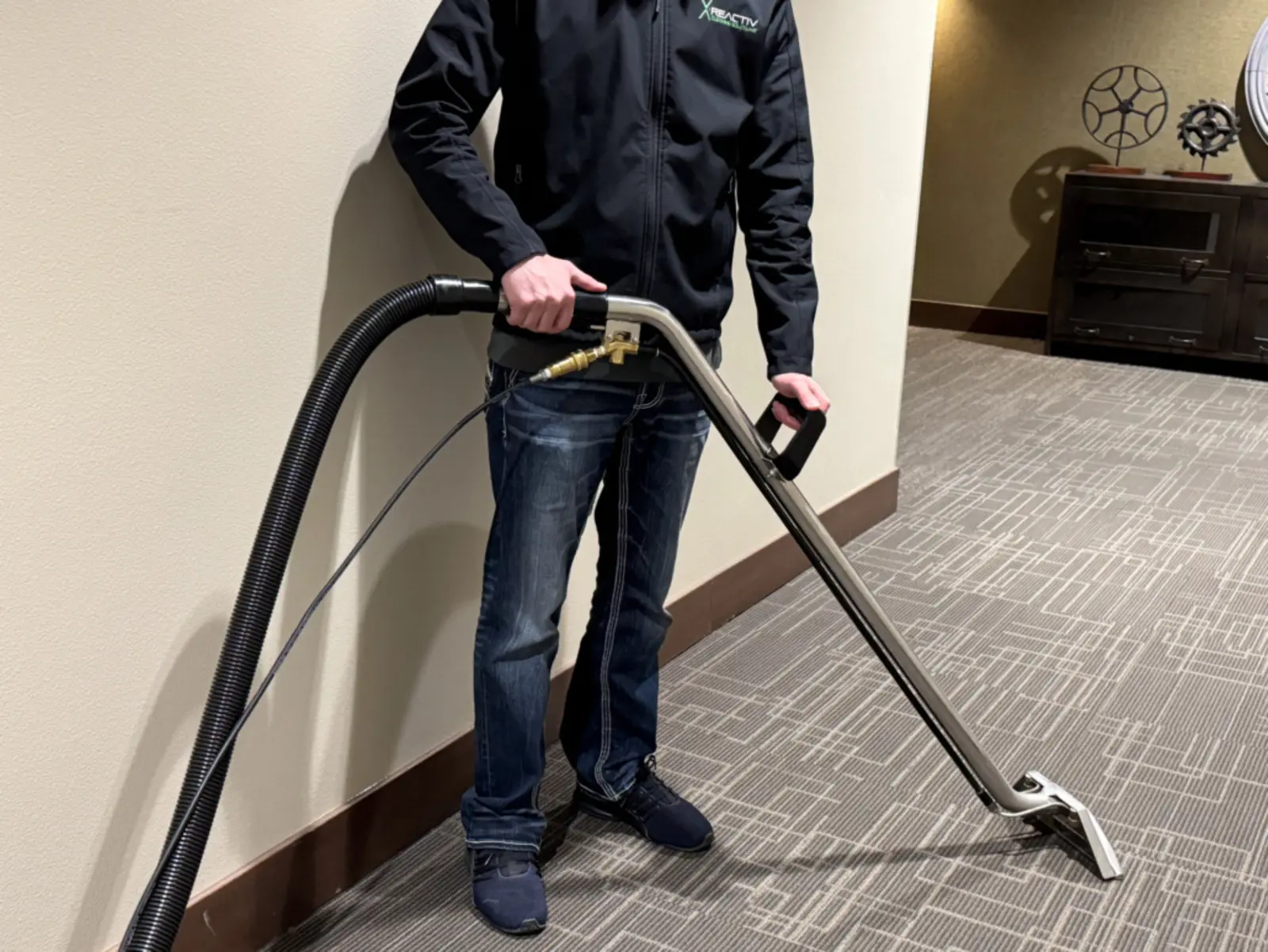 Professional carpet cleaning service